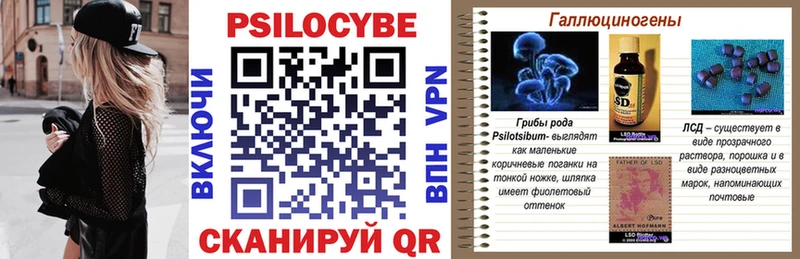 Псилоцибиновые грибы мицелий  Тбилисская 